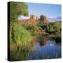 Cathedral Rock, Sedona, Arizona, United States of America (U.S.A.), North America-Tony Gervis-Stretched Canvas