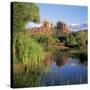 Cathedral Rock, Sedona, Arizona, United States of America (U.S.A.), North America-Tony Gervis-Stretched Canvas