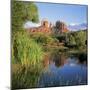 Cathedral Rock, Sedona, Arizona, United States of America (U.S.A.), North America-Tony Gervis-Mounted Premium Photographic Print