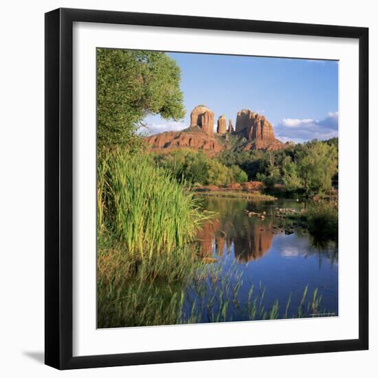 Cathedral Rock, Sedona, Arizona, United States of America (U.S.A.), North America-Tony Gervis-Framed Photographic Print