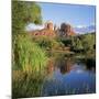 Cathedral Rock, Sedona, Arizona, United States of America (U.S.A.), North America-Tony Gervis-Mounted Photographic Print