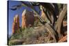 Cathedral Rock, Sedona, Arizona, Usa-Rainer Mirau-Stretched Canvas