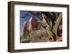 Cathedral Rock, Sedona, Arizona, Usa-Rainer Mirau-Framed Photographic Print