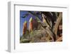 Cathedral Rock, Sedona, Arizona, Usa-Rainer Mirau-Framed Photographic Print