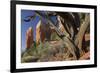 Cathedral Rock, Sedona, Arizona, Usa-Rainer Mirau-Framed Photographic Print