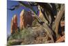 Cathedral Rock, Sedona, Arizona, Usa-Rainer Mirau-Mounted Photographic Print