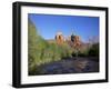 Cathedral Rock Towering Above Oak Creek, in Evening Light, Sedona, Arizona, USA-Ruth Tomlinson-Framed Photographic Print