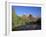 Cathedral Rock Towering Above Oak Creek, in Evening Light, Sedona, Arizona, USA-Ruth Tomlinson-Framed Photographic Print