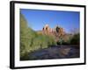 Cathedral Rock Towering Above Oak Creek, in Evening Light, Sedona, Arizona, USA-Ruth Tomlinson-Framed Photographic Print