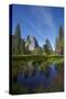 Cathedral Rocks and Pond in Yosemite Valley, Yosemite NP, California-David Wall-Stretched Canvas