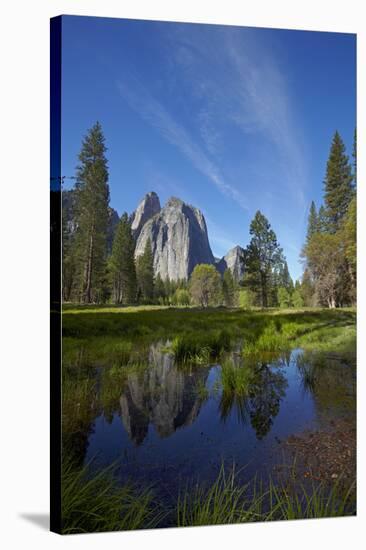 Cathedral Rocks and Pond in Yosemite Valley, Yosemite NP, California-David Wall-Stretched Canvas