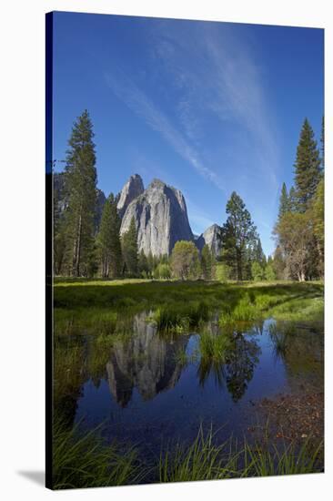 Cathedral Rocks and Pond in Yosemite Valley, Yosemite NP, California-David Wall-Stretched Canvas