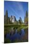 Cathedral Rocks and Pond in Yosemite Valley, Yosemite NP, California-David Wall-Mounted Premium Photographic Print