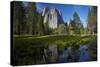 Cathedral Rocks and Pond in Yosemite Valley, Yosemite NP, California-David Wall-Stretched Canvas