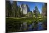 Cathedral Rocks and Pond in Yosemite Valley, Yosemite NP, California-David Wall-Mounted Photographic Print