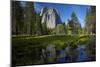 Cathedral Rocks and Pond in Yosemite Valley, Yosemite NP, California-David Wall-Mounted Photographic Print