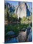 Cathedral Rocks and reflection. Yosemite National Park, CA-Jamie & Judy Wild-Mounted Photographic Print