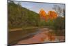 Cathedral Rocks, Oak Creek from Red Rock Crossing, Sedona, Arizona, USA-Chuck Haney-Mounted Photographic Print