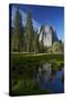 Cathedral Rocks Reflected in a Pond and Deer, Yosemite NP, California-David Wall-Stretched Canvas