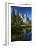 Cathedral Rocks Reflected in a Pond and Deer, Yosemite NP, California-David Wall-Framed Photographic Print