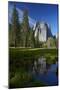Cathedral Rocks Reflected in a Pond and Deer, Yosemite NP, California-David Wall-Mounted Photographic Print