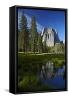 Cathedral Rocks Reflected in a Pond and Deer, Yosemite NP, California-David Wall-Framed Stretched Canvas