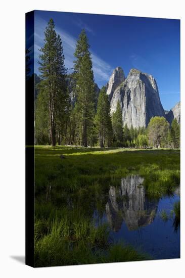 Cathedral Rocks Reflected in a Pond and Deer, Yosemite NP, California-David Wall-Stretched Canvas