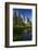 Cathedral Rocks Reflected in a Pond and Deer, Yosemite NP, California-David Wall-Framed Photographic Print