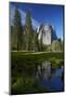 Cathedral Rocks Reflected in a Pond and Deer, Yosemite NP, California-David Wall-Mounted Photographic Print