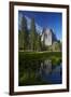 Cathedral Rocks Reflected in a Pond and Deer, Yosemite NP, California-David Wall-Framed Photographic Print