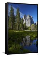 Cathedral Rocks Reflected in a Pond and Deer, Yosemite NP, California-David Wall-Framed Stretched Canvas