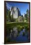 Cathedral Rocks Reflected in a Pond and Deer, Yosemite NP, California-David Wall-Framed Photographic Print