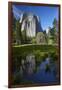 Cathedral Rocks Reflected in a Pond and Deer, Yosemite NP, California-David Wall-Framed Photographic Print