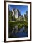 Cathedral Rocks Reflected in a Pond and Deer, Yosemite NP, California-David Wall-Framed Photographic Print