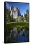 Cathedral Rocks Reflected in a Pond and Deer, Yosemite NP, California-David Wall-Framed Stretched Canvas