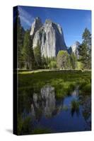 Cathedral Rocks Reflected in a Pond and Deer, Yosemite NP, California-David Wall-Stretched Canvas