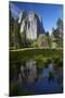 Cathedral Rocks Reflected in a Pond and Deer, Yosemite NP, California-David Wall-Mounted Premium Photographic Print