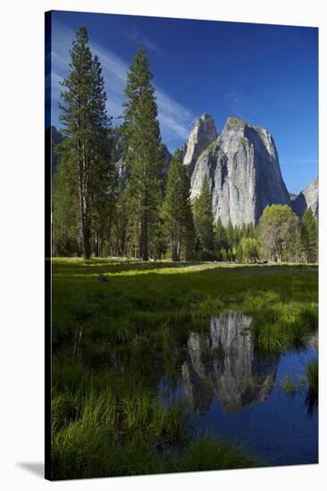 Cathedral Rocks Reflected in a Pond and Deer, Yosemite NP, California-David Wall-Stretched Canvas