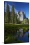 Cathedral Rocks Reflected in a Pond and Deer, Yosemite NP, California-David Wall-Stretched Canvas