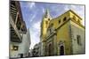 Cathedral Santa Catalina de La Alejandria, Cartagena, Colombia-Jerry Ginsberg-Mounted Photographic Print