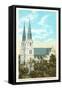 Cathedral, Savannah, Georgia-null-Framed Stretched Canvas