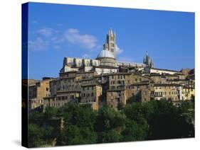 Cathedral, Siena, Tuscany, Italy-Richard Ashworth-Stretched Canvas