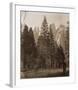 Cathedral Spires - Yosemite, California, 1861-Carleton Watkins-Framed Art Print