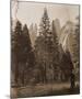 Cathedral Spires - Yosemite, California, 1861-Carleton Watkins-Mounted Art Print