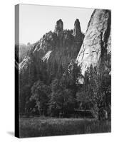 Cathedral Spires, Yosemite-Carleton E Watkins-Stretched Canvas