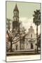 Cathedral, St. Augustine, Florida-null-Mounted Art Print