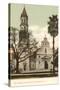 Cathedral, St. Augustine, Florida-null-Stretched Canvas