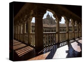 Cathedral Viewed from the Cloisters of Las Duenas Convent, Salamanca, Castile Leon, Spain-Ruth Tomlinson-Stretched Canvas