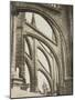 Cathédrale de Reims, arcs-boutants du chevet-Pierre Amédée Varin-Mounted Giclee Print
