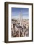 Cathedrale Saint-Andre de Bordeaux, Bordeaux, Gironde, Aquitaine, France, Europe-Julian Elliott-Framed Photographic Print